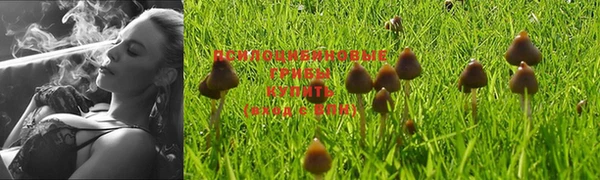 ешки Нягань