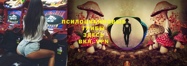 марки lsd Няндома