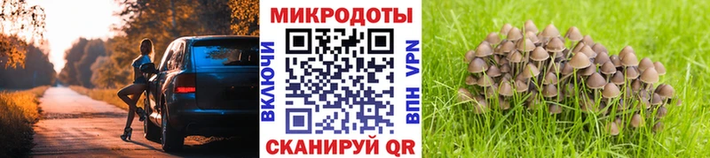 Псилоцибиновые грибы прущие грибы  где найти наркотики  Лобня 