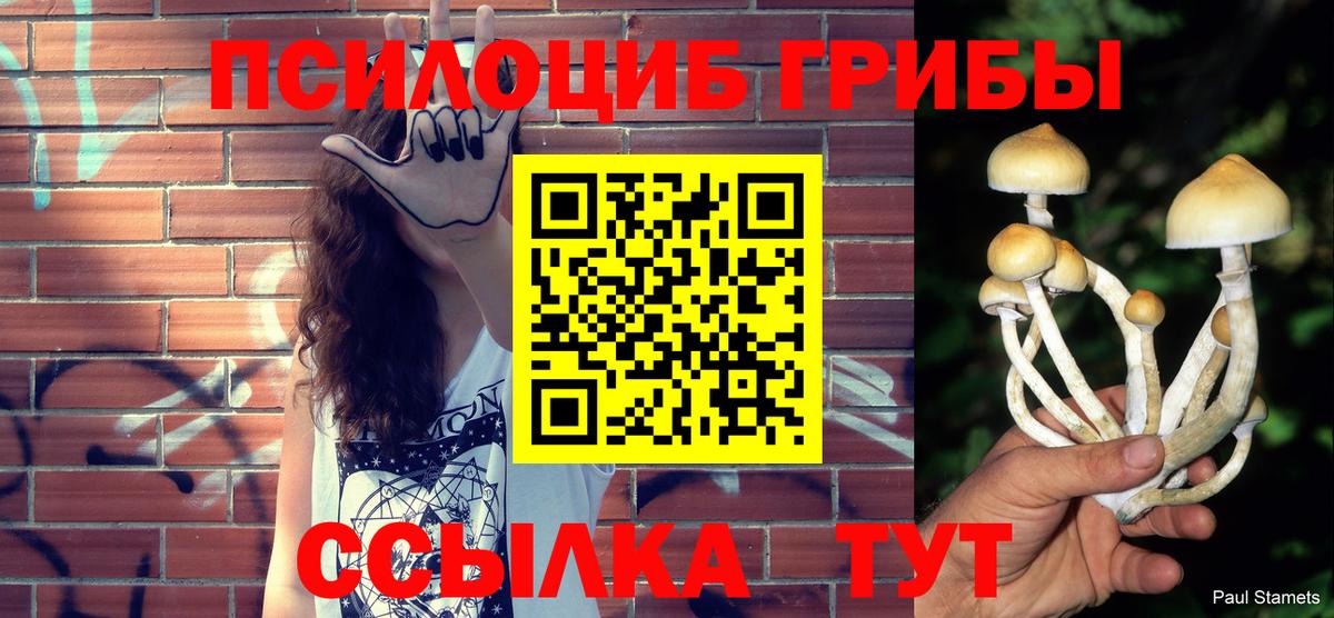Лобня  Галлюциногенные грибы MAGIC MUSHROOMS  Вход с VPN 