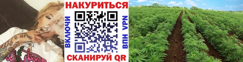 дарнет шоп  Лобня  это как зайти  Шишки марихуана семена 